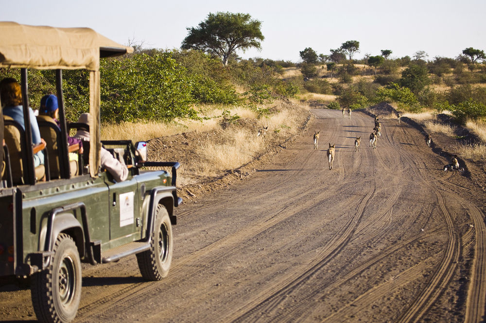 Tuli Safari Lodge Lentswelemoriti Exteriér fotografie